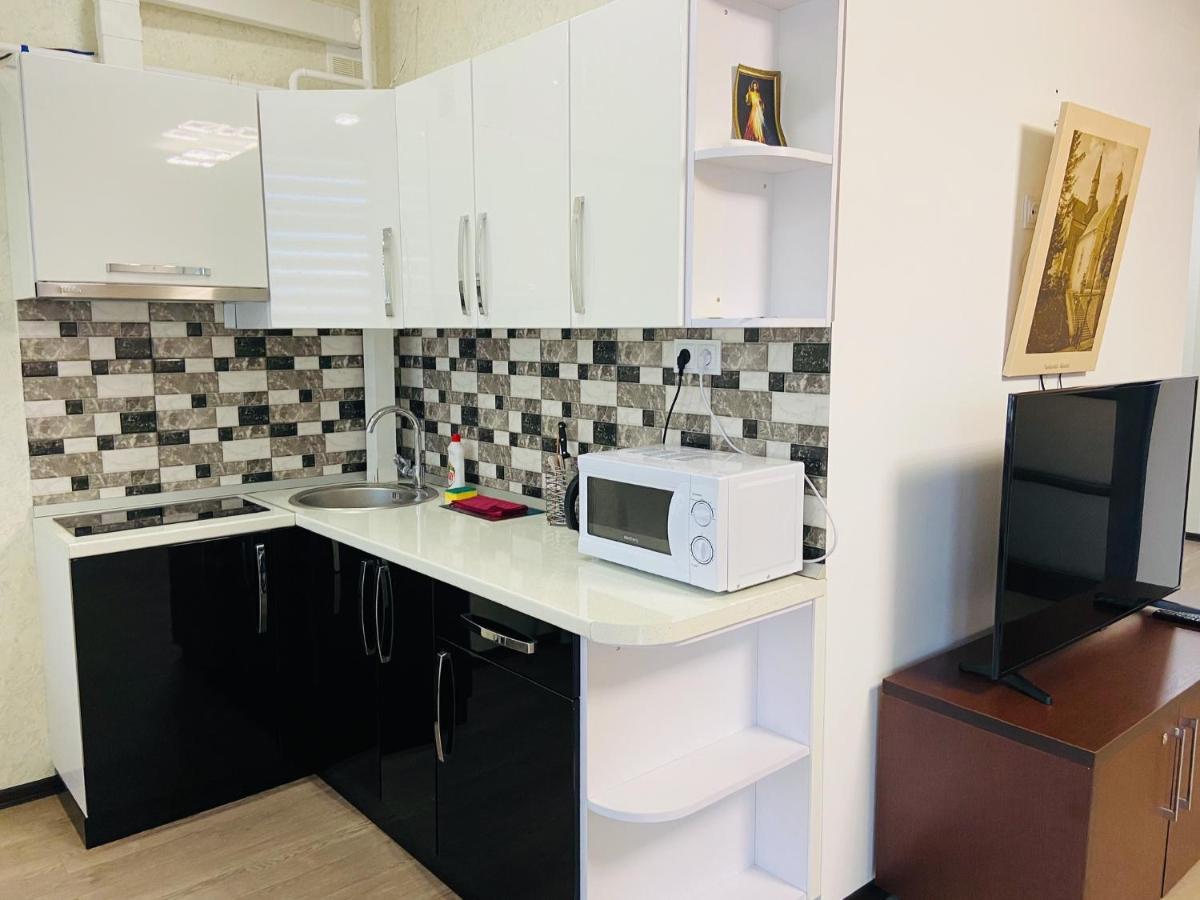 Apartment Modern Style Truskavets